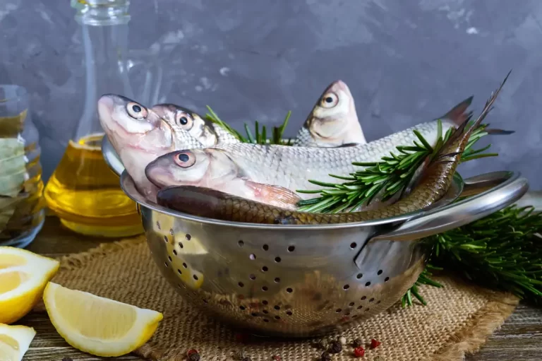 Des poissons dans un vol en métal